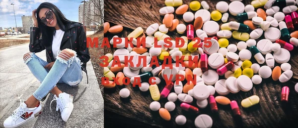 ГАЛЛЮЦИНОГЕННЫЕ ГРИБЫ Аркадак
