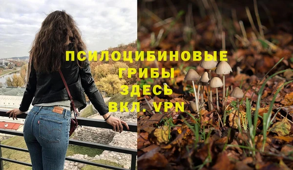 мяу мяу мука Армянск