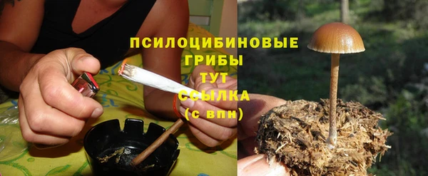 ГАЛЛЮЦИНОГЕННЫЕ ГРИБЫ Аркадак