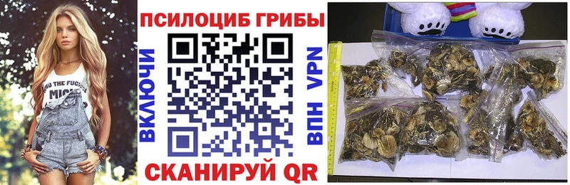 Псилоцибиновые грибы мицелий  hydra зеркало  Подольск 